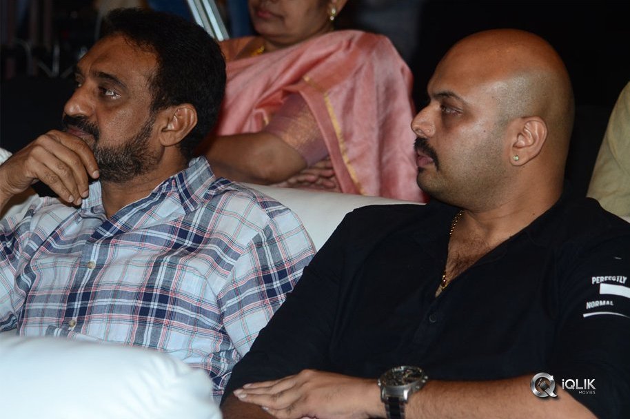 Srinivasa-Kalyanam-Movie-Success-Meet